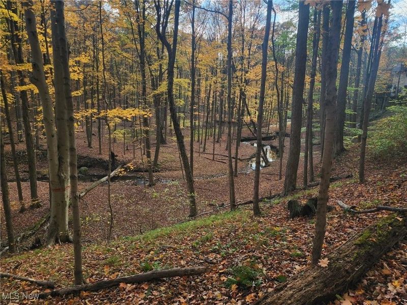 630 Woodhaven Drive, Cuyahoga Falls, OH 44223 Photo 47