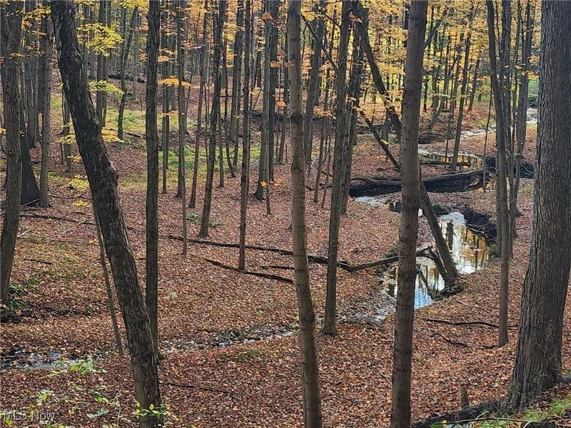 630 Woodhaven Drive, Cuyahoga Falls, OH 44223 Photo 48