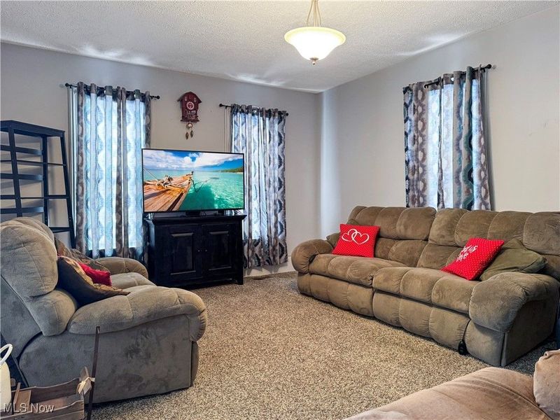 252 County Road 30a Road, Jeromesville, OH 44840 Photo 15