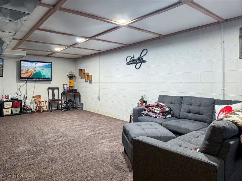 252 County Road 30a Road, Jeromesville, OH 44840 Photo 26