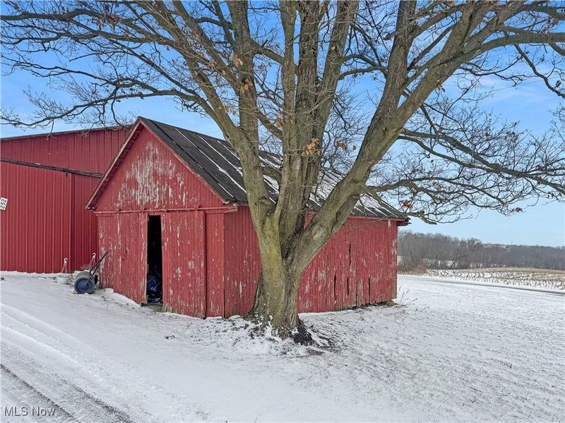 252 County Road 30a Road, Jeromesville, OH 44840 Photo 4