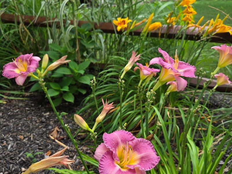 1689 State Route 314 N, Crestline, OH 44827 Photo 56