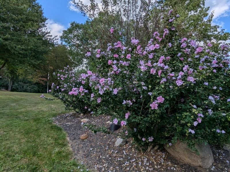 1689 State Route 314 N, Crestline, OH 44827 Photo 58