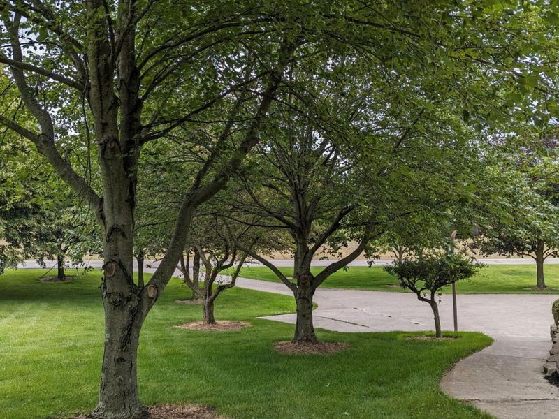 1689 State Route 314 N, Crestline, OH 44827 Photo 59