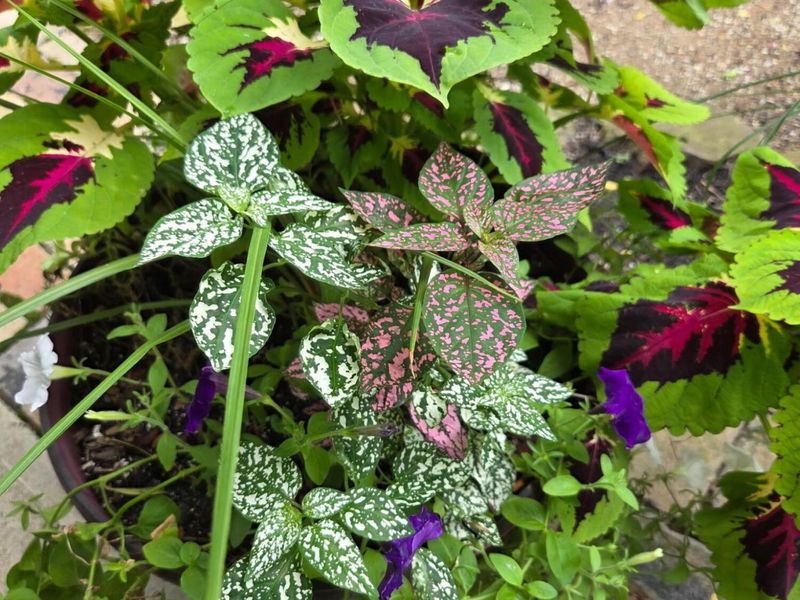 1689 State Route 314 N, Crestline, OH 44827 Photo 75