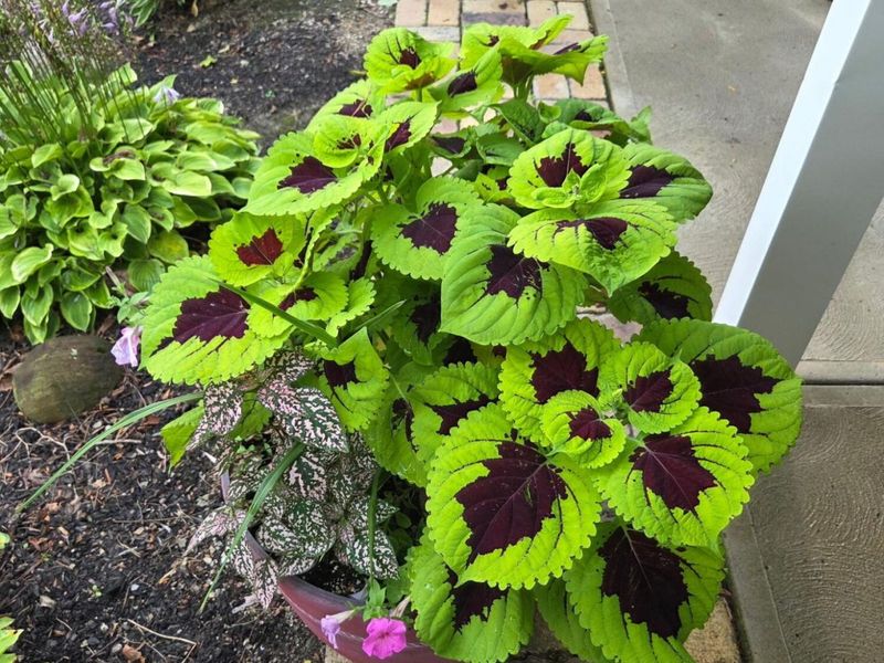 1689 State Route 314 N, Crestline, OH 44827 Photo 76