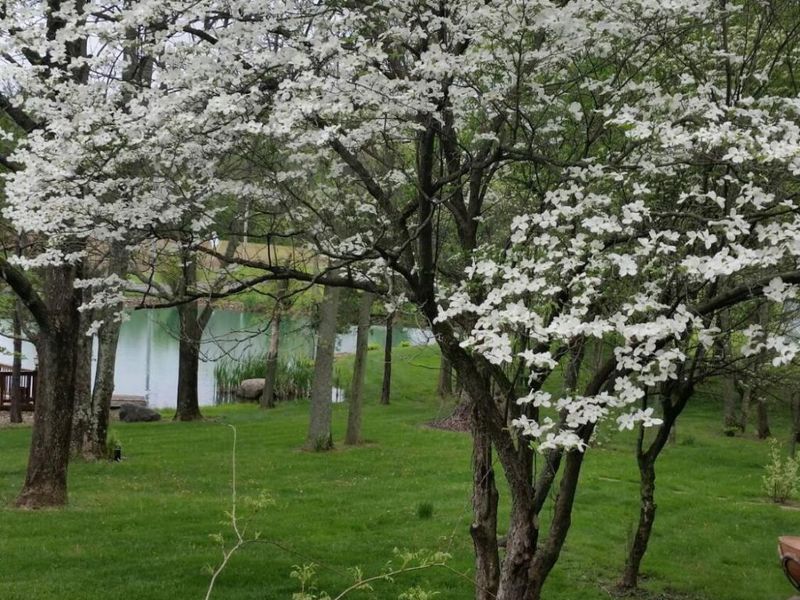 1689 State Route 314 N, Crestline, OH 44827 Photo 78