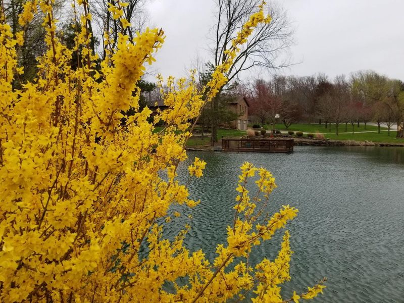 1689 State Route 314 N, Crestline, OH 44827 Photo 79