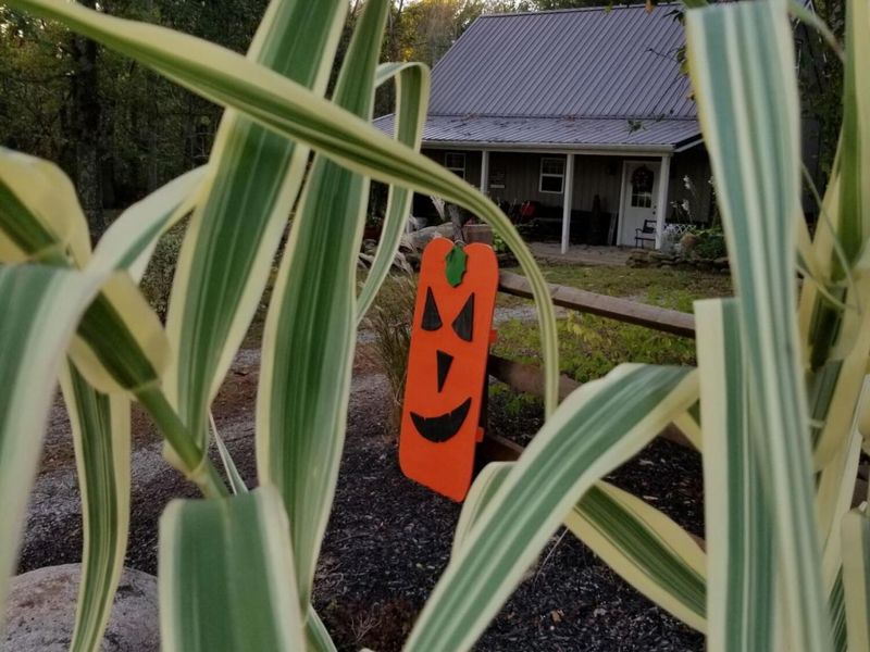 1689 State Route 314 N, Crestline, OH 44827 Photo 82