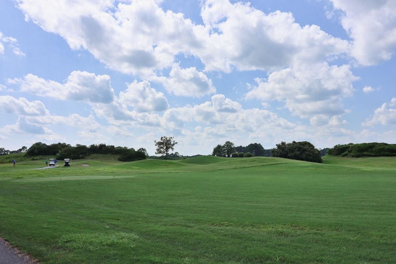 4990 Windsor Green Way Photo 21