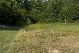 421 Bosque Circle photo 4