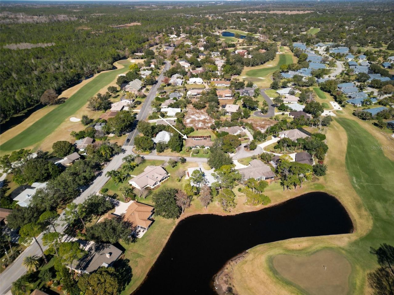 1083 Button Bush Place, New Smyrna Beach, FL 32168 Photo