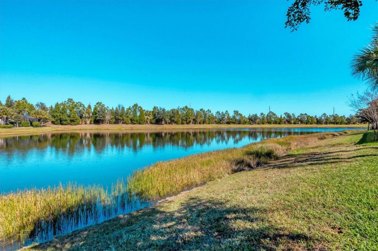 6713 Chester Trail, Lakewood Ranch, FL 34202 Photo