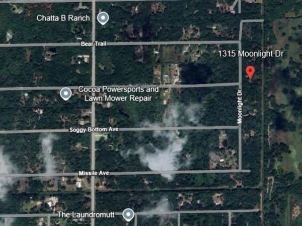 1315 MOONLIGHT DR, COCOA, FL 32926