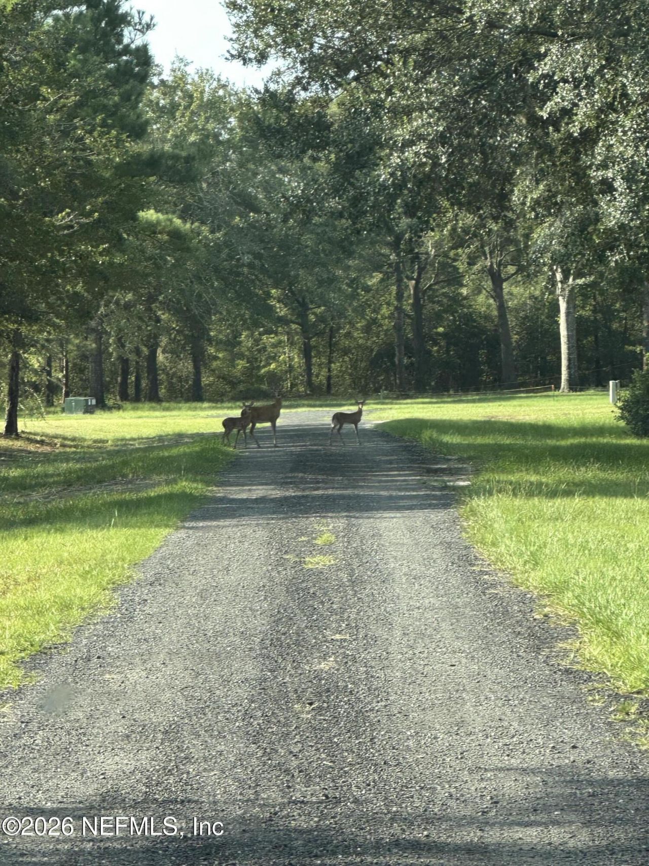 15779 Mohawk Street, Glen St. Mary, FL 32040 Photo