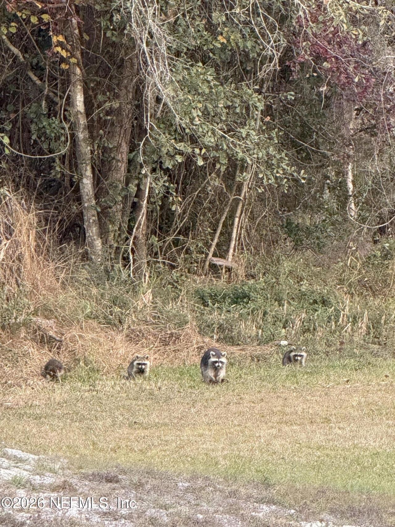 15779 Mohawk Street, Glen St. Mary, FL 32040 Photo