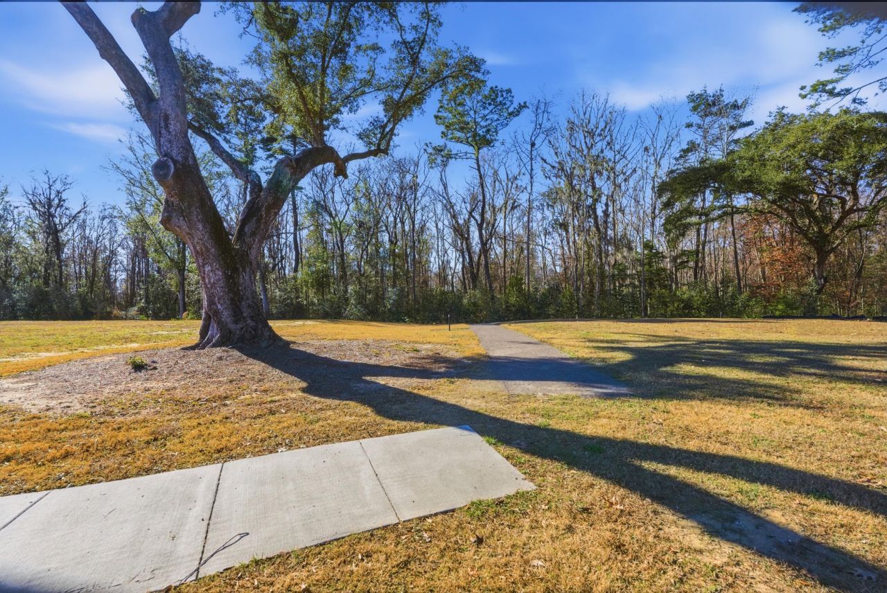 147 Claret Cup Way Photo 38