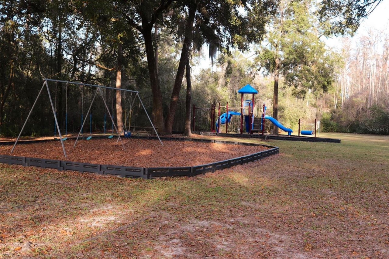 3629 Whistling Lane, Land O Lakes, FL 34639 Photo