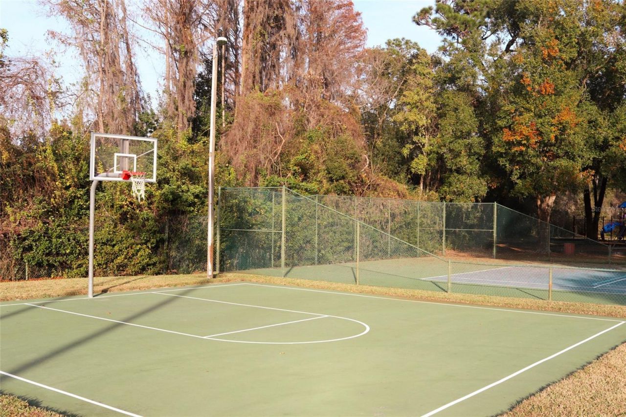 3629 Whistling Lane, Land O Lakes, FL 34639 Photo