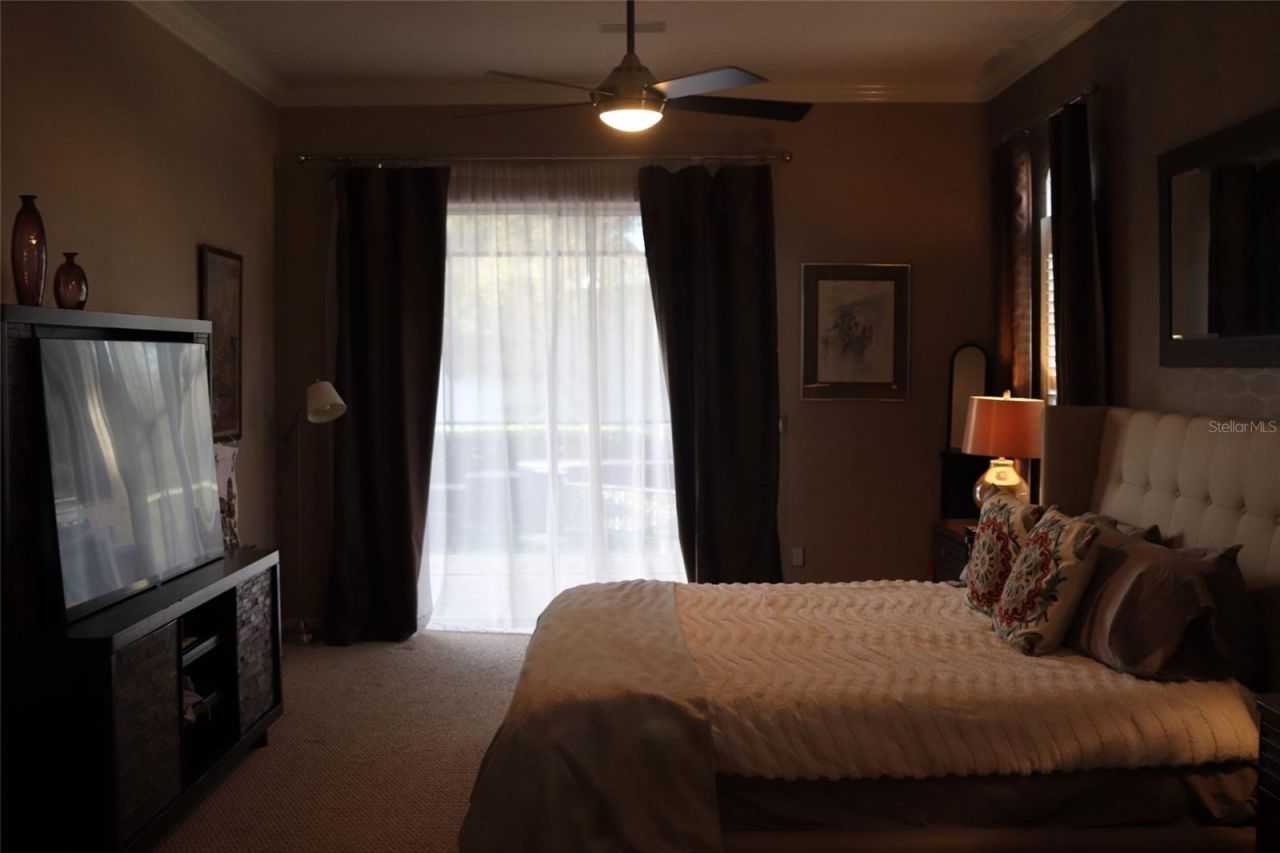 3629 Whistling Lane, Land O Lakes, FL 34639 Photo