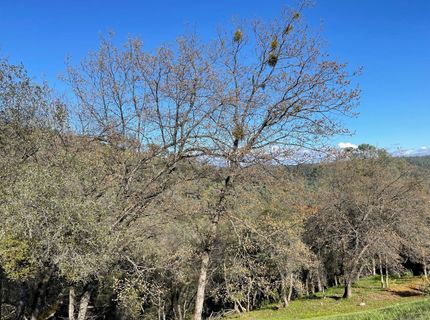 5035 Eagles Nest, Auburn, CA 95603 Photo