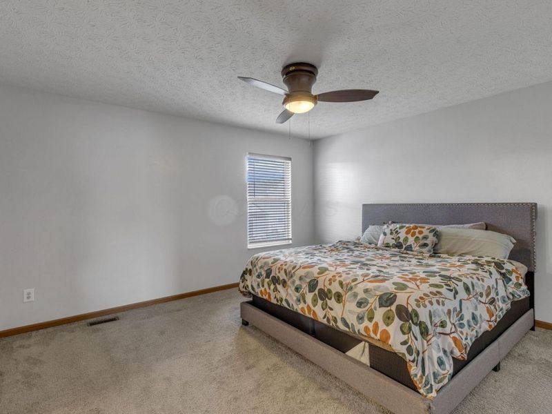 3832 Liriope Street, Canal Winchester, OH 43110 Photo 22