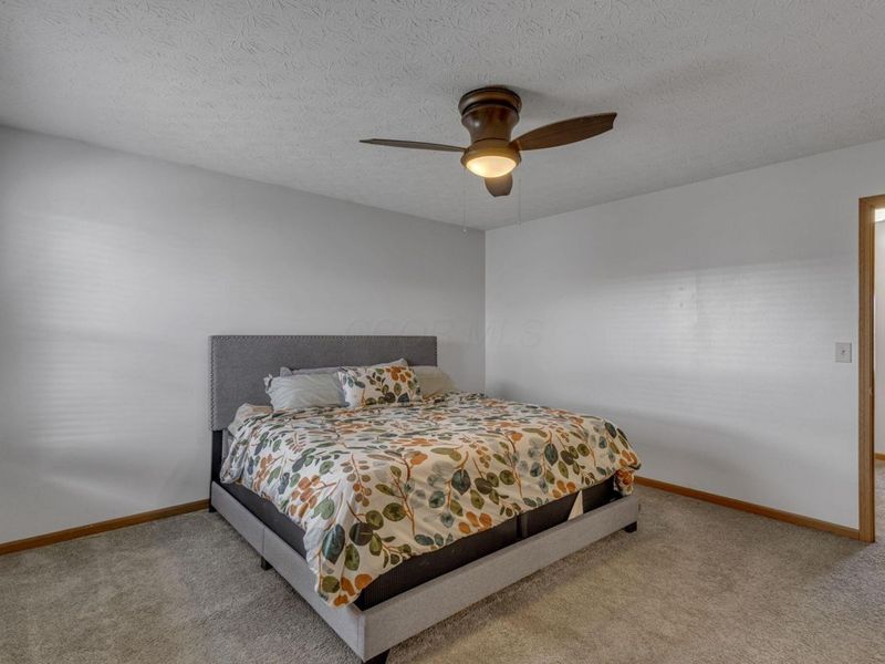 3832 Liriope Street, Canal Winchester, OH 43110 Photo 24