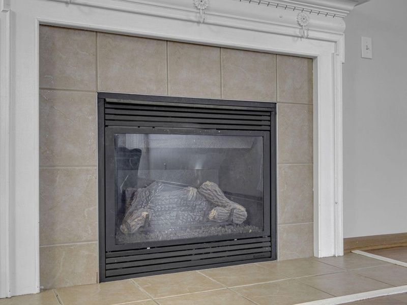 3832 Liriope Street, Canal Winchester, OH 43110 Photo 8