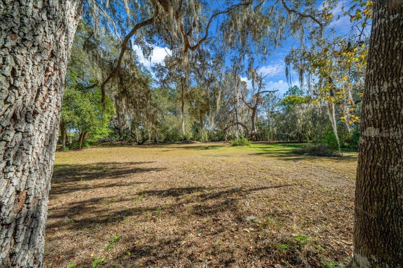 16731 SE 181st Terrace, Weirsdale, FL 32195 Photo