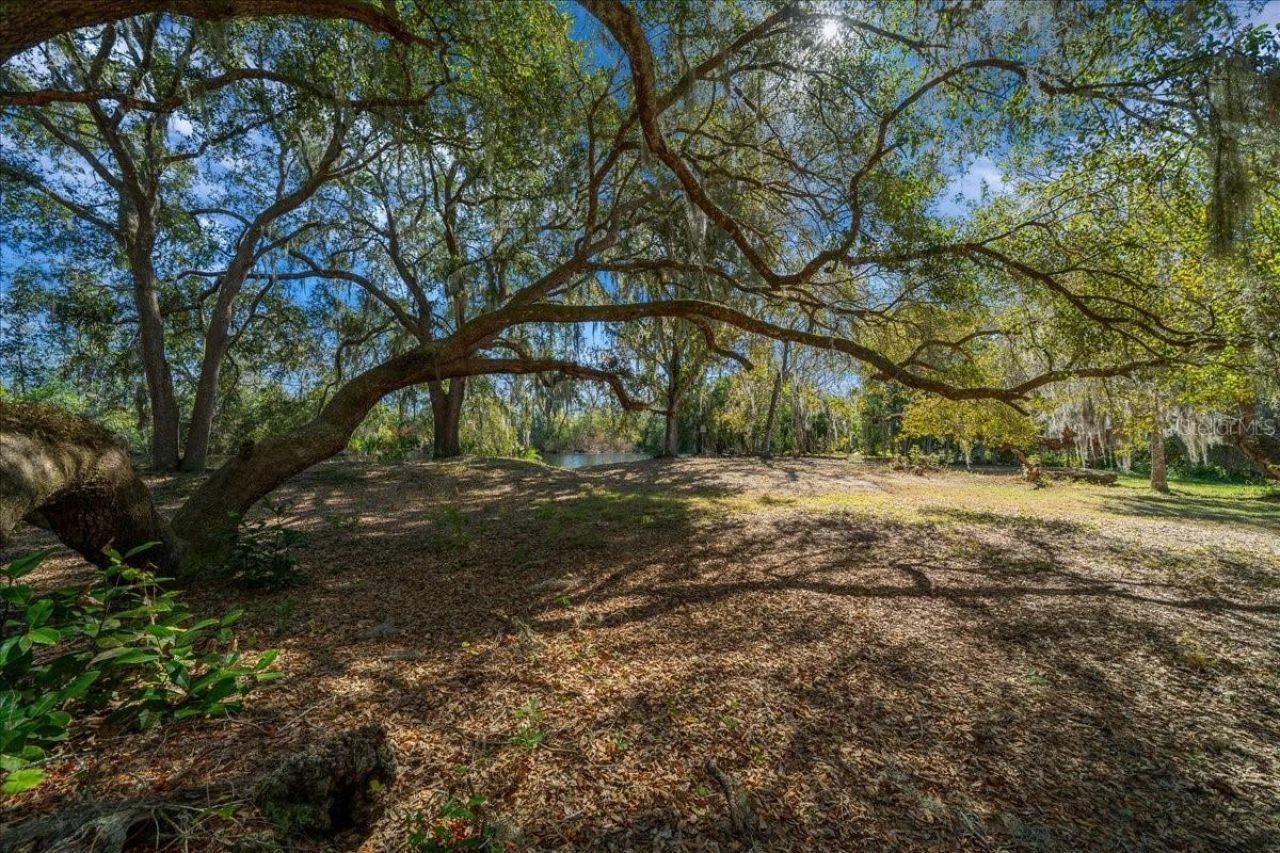 16731 SE 181st Terrace, Weirsdale, FL 32195 Photo