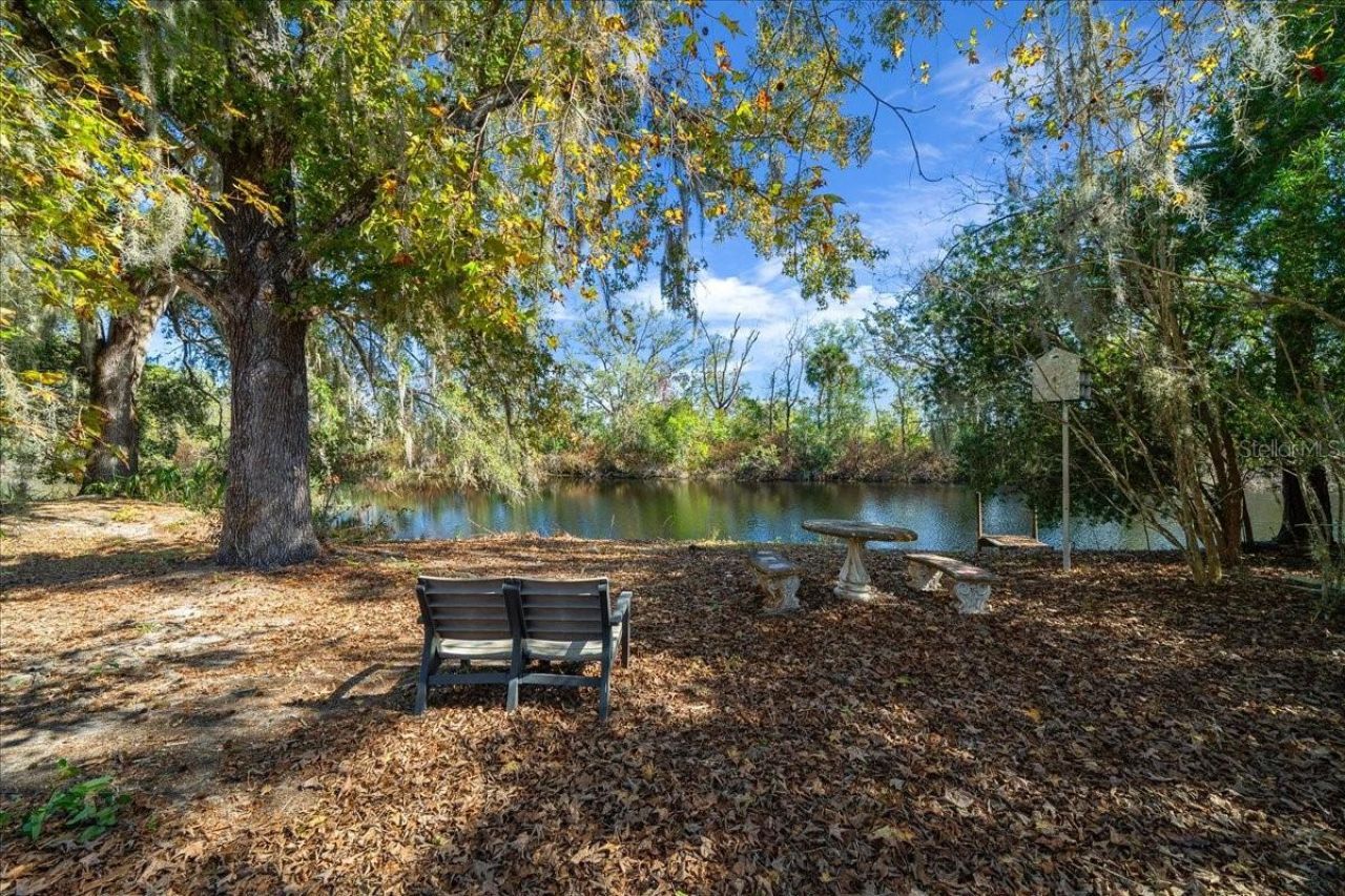 16731 SE 181st Terrace, Weirsdale, FL 32195 Photo