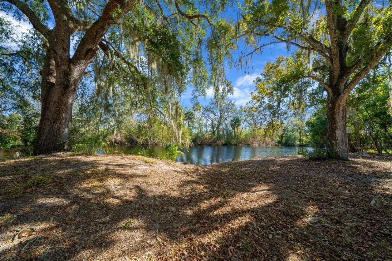 16731 SE 181st Terrace, Weirsdale, FL 32195 Photo