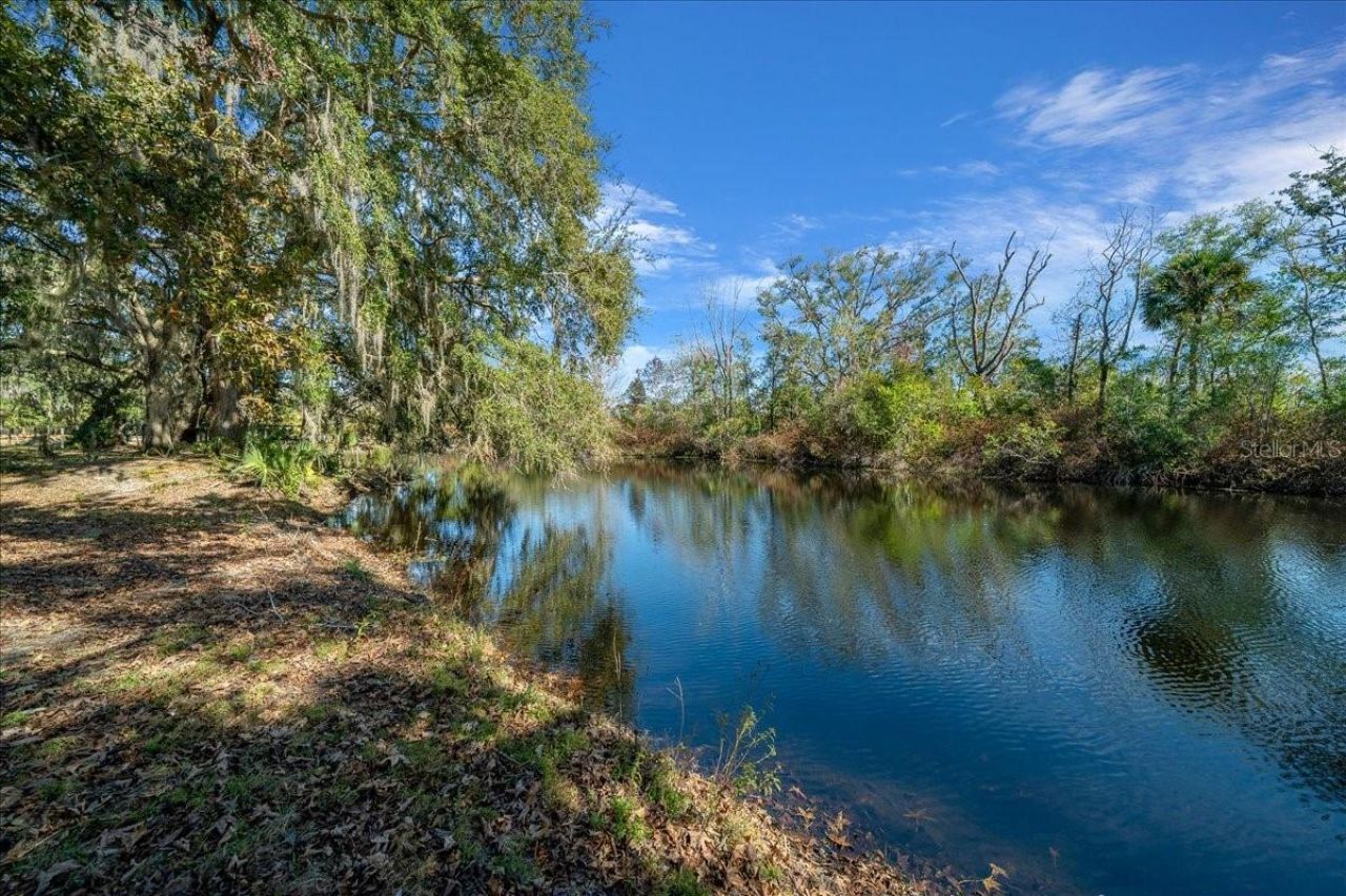 16731 SE 181st Terrace, Weirsdale, FL 32195 Photo