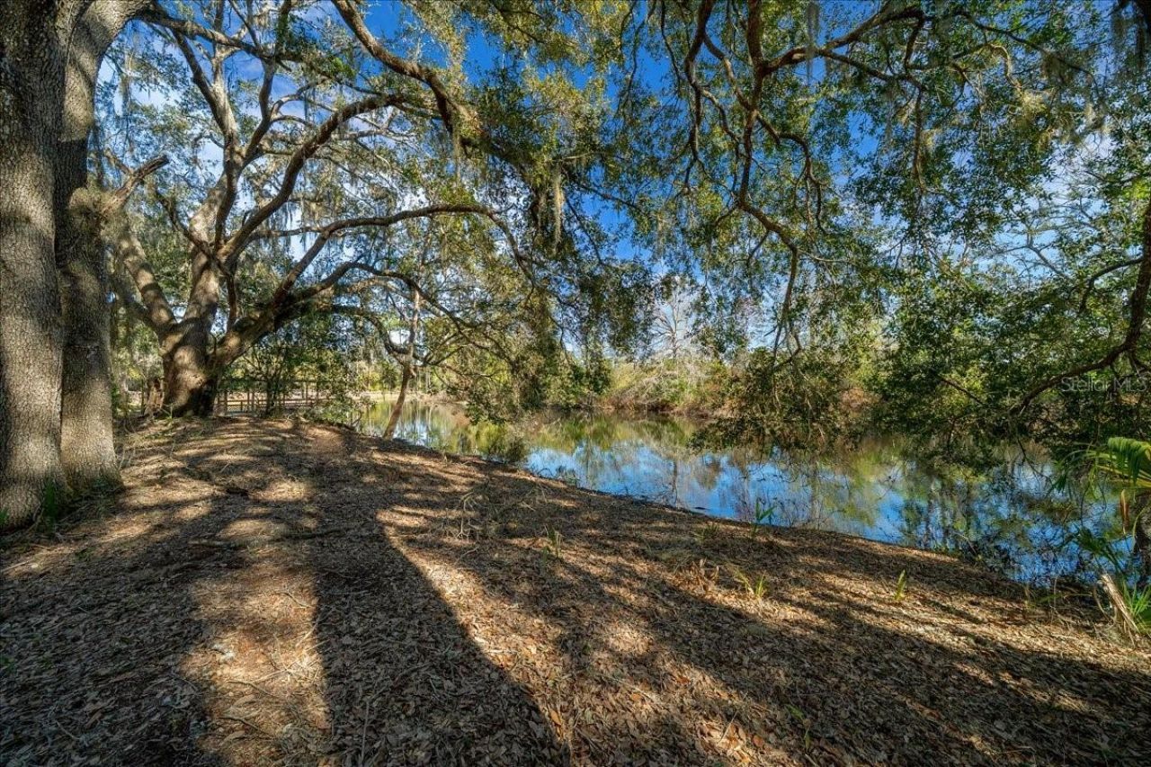 16731 SE 181st Terrace, Weirsdale, FL 32195 Photo