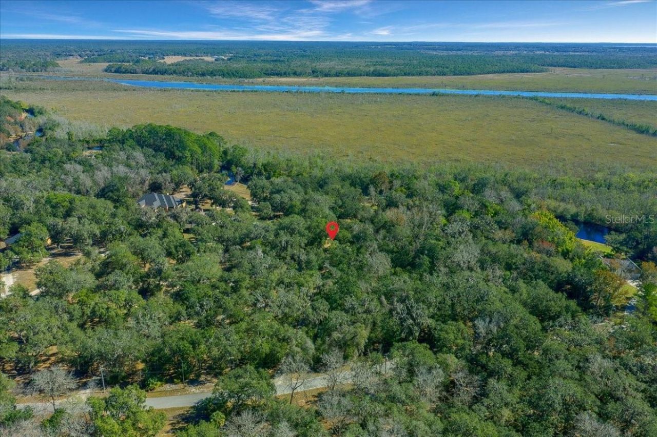 16731 SE 181st Terrace, Weirsdale, FL 32195 Photo