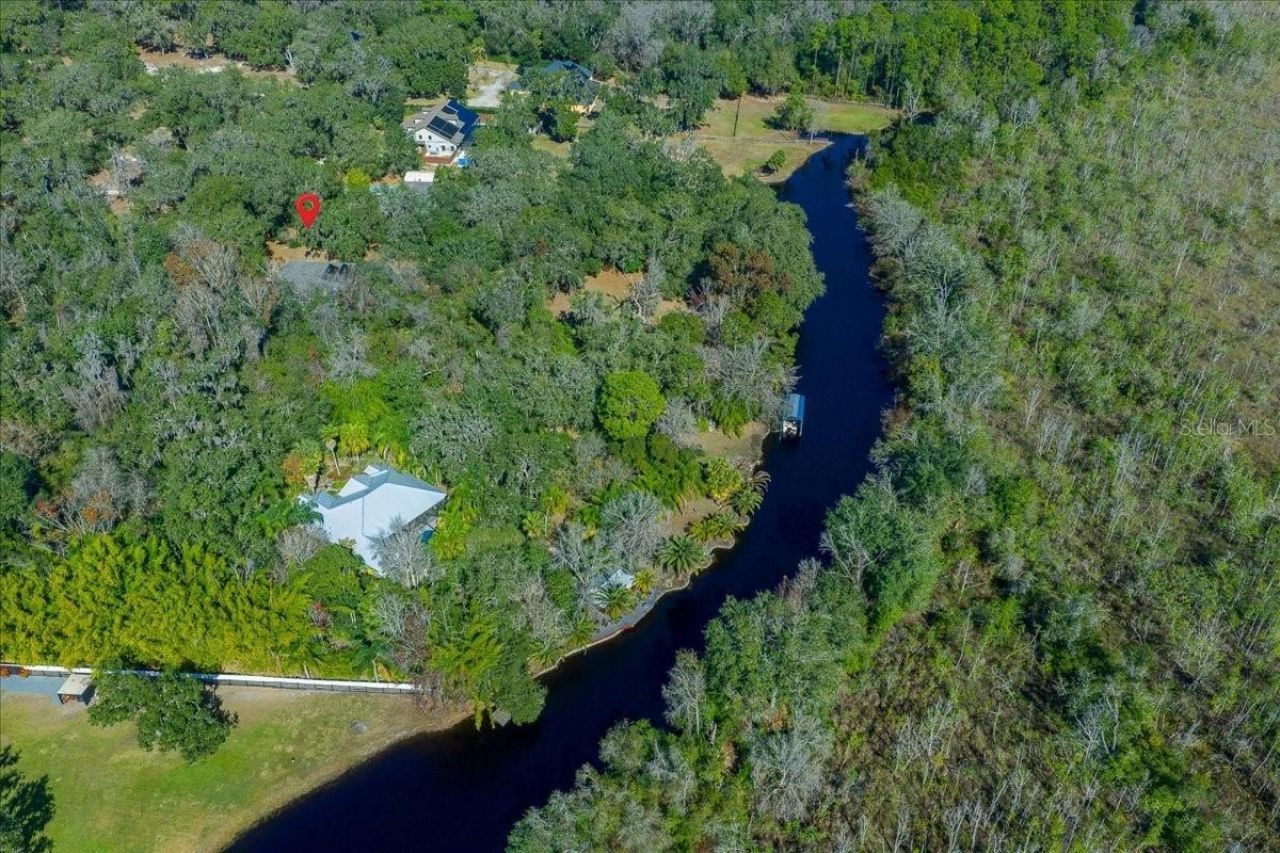 16731 SE 181st Terrace, Weirsdale, FL 32195 Photo