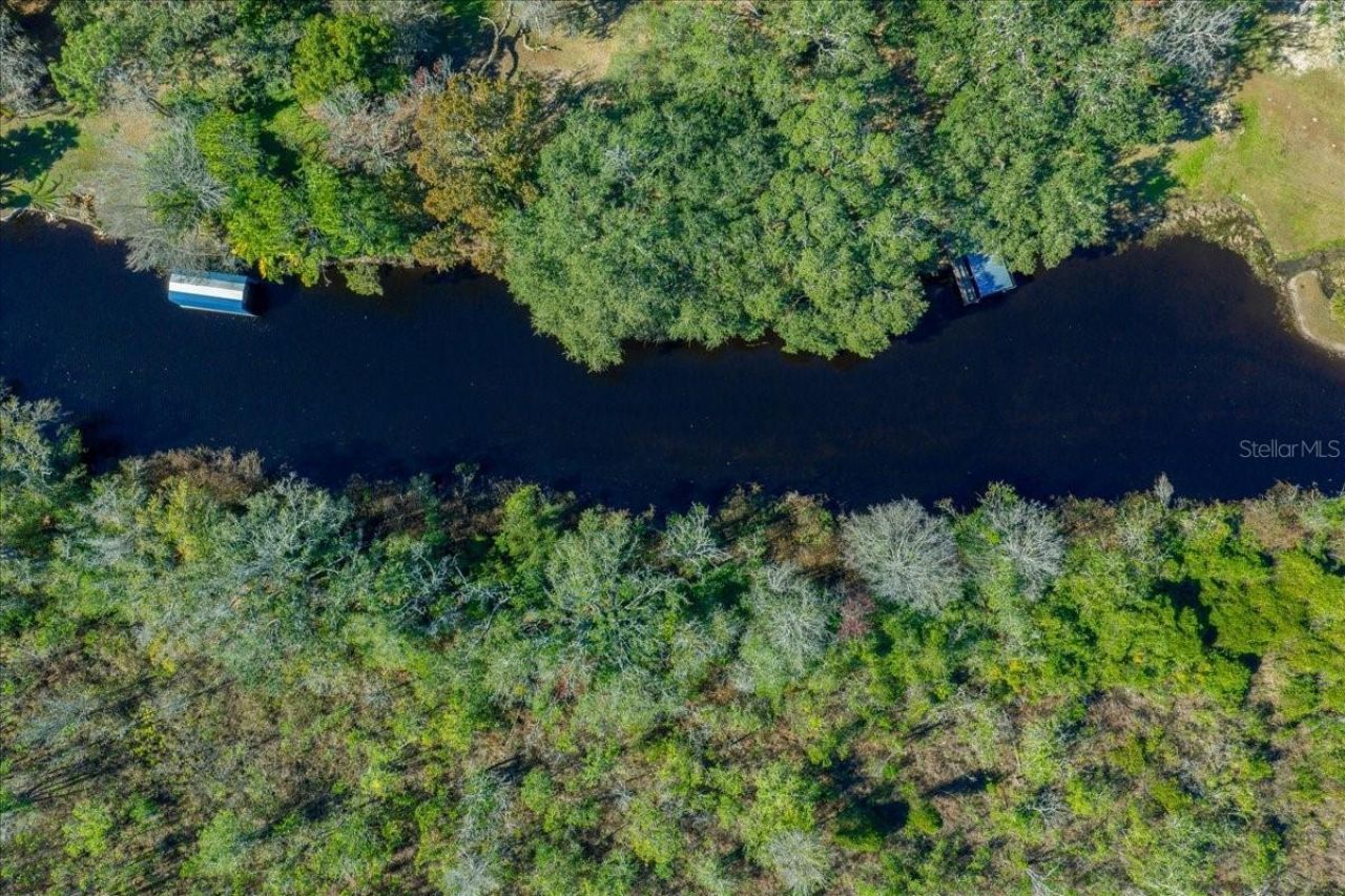 16731 SE 181st Terrace, Weirsdale, FL 32195 Photo