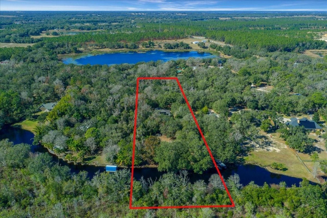 16731 SE 181st Terrace, Weirsdale, FL 32195 Photo