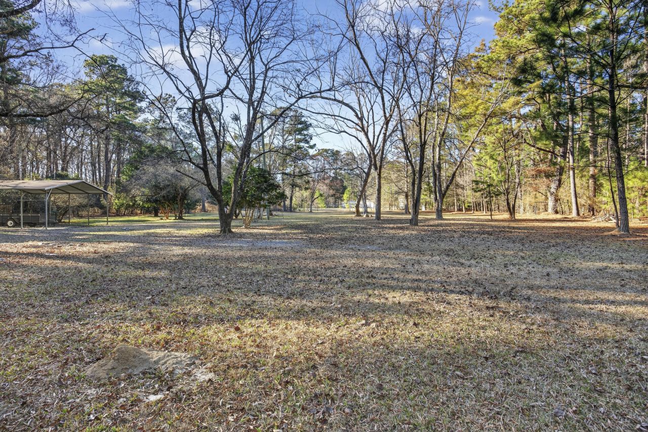 167 Mentor Street Photo 10