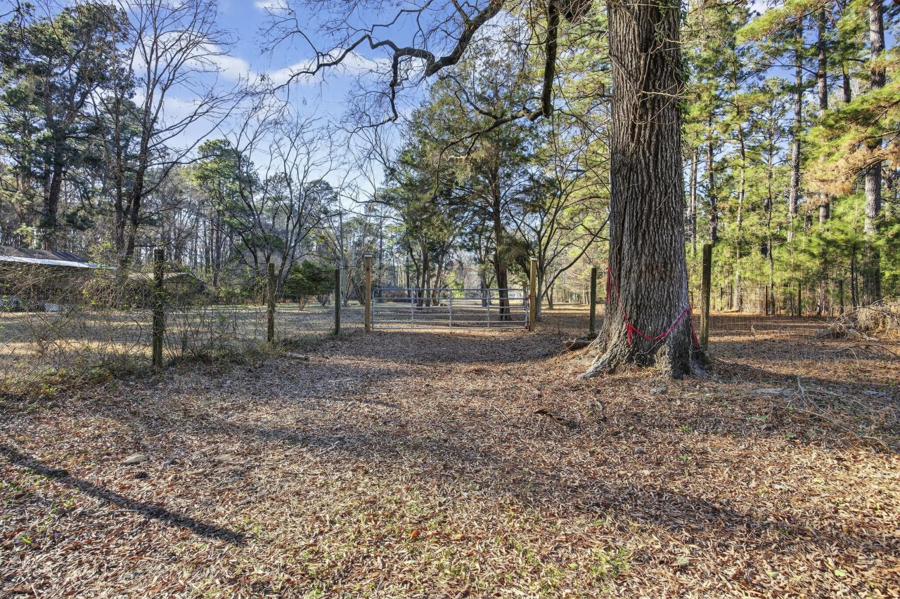 167 Mentor Street Photo 13