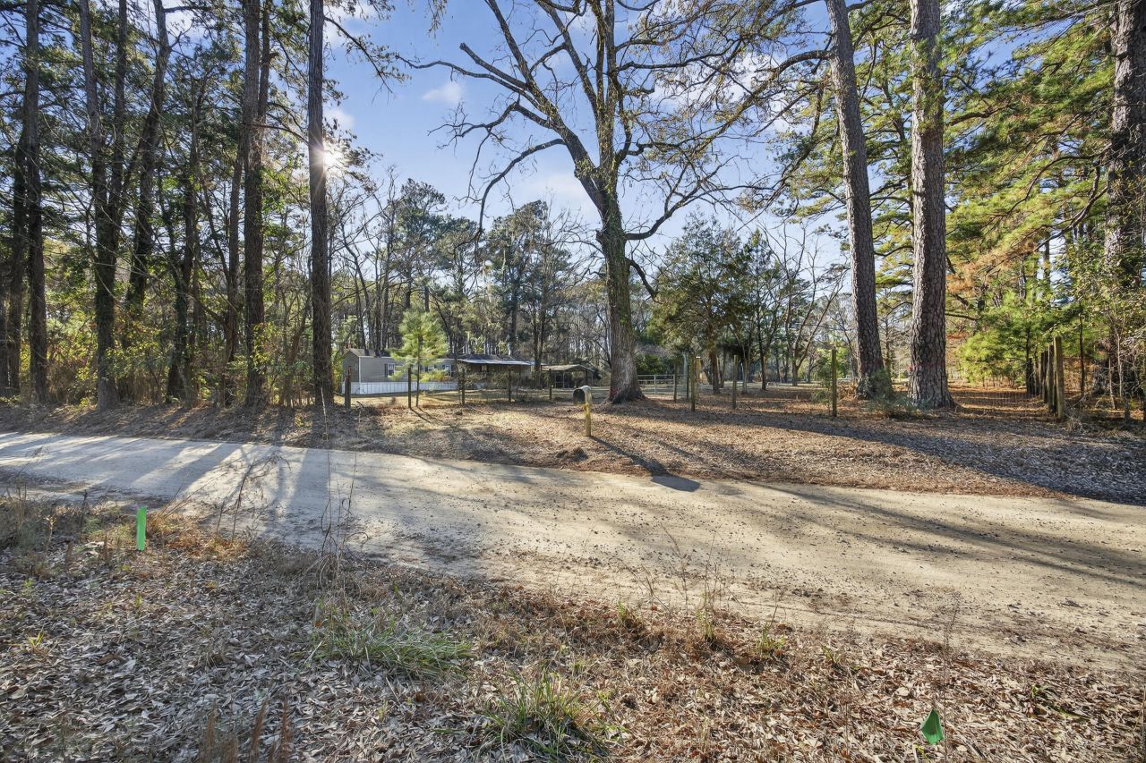 167 Mentor Street Photo 14