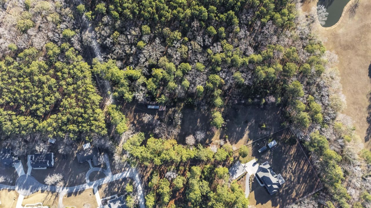 167 Mentor Street Photo 4