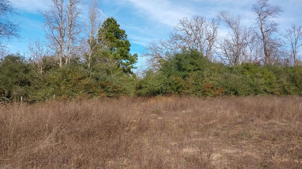 00 Fm 1511, Buffalo, TX 75831 Main Photo