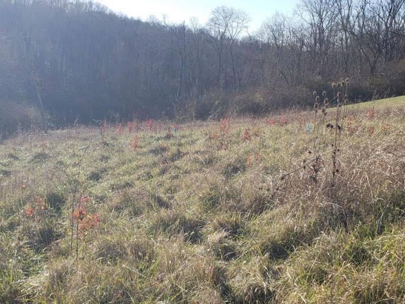 0 Stone Mill Road, Unit Lot, Colerain Township, OH 45251 Photo 4