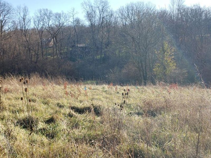 0 Stone Mill Road, Unit Lot, Colerain Township, OH 45251 Photo 6