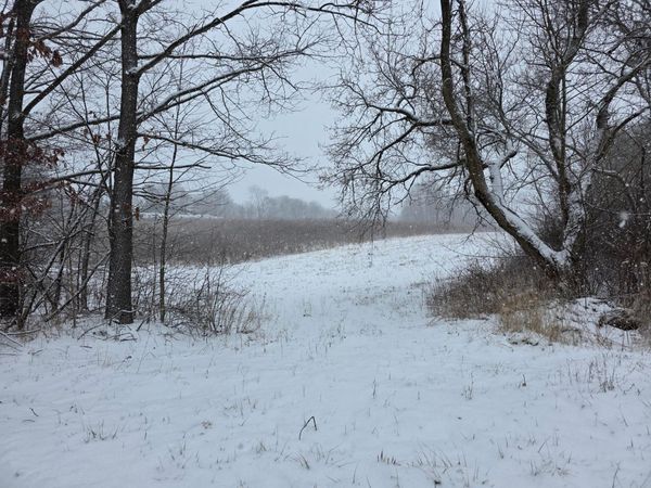 0 Riggle Road, Bellville, OH 44813