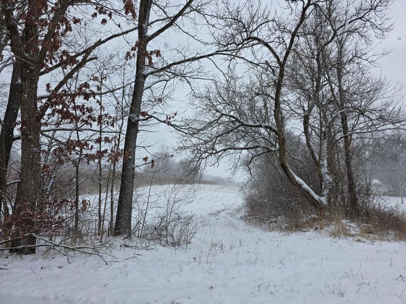 0 Riggle Road, Bellville, OH 44813 Photo 2