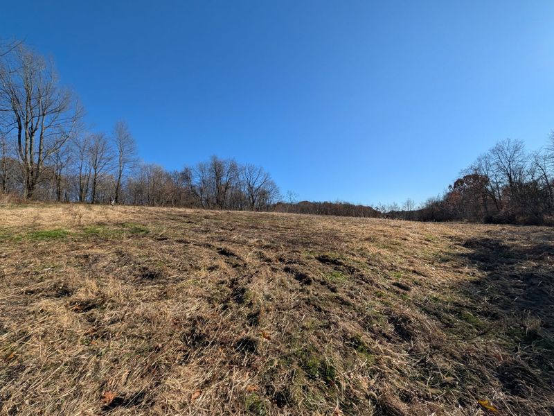 0 Riggle Road, Bellville, OH 44813 Photo 2