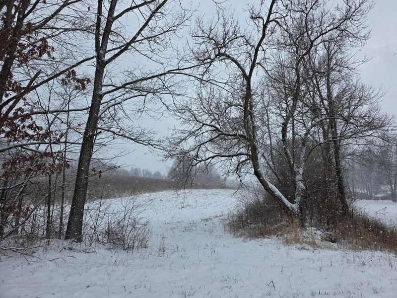 0 Riggle Road, Bellville, OH 44813 Photo 3