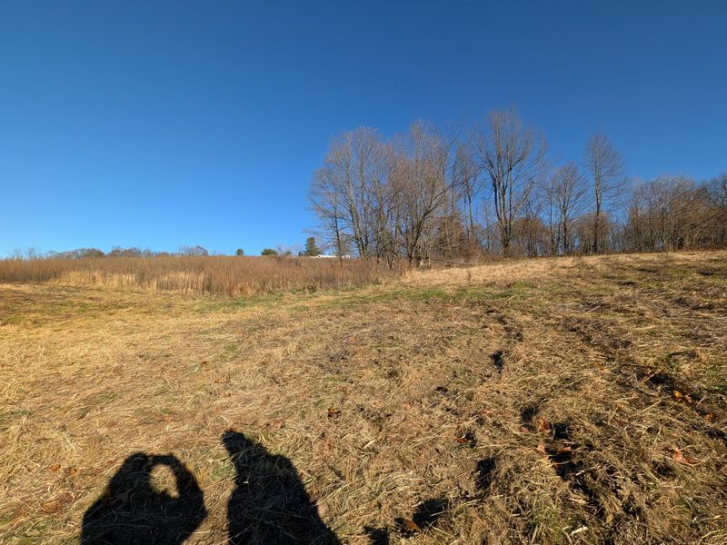 0 Riggle Road, Bellville, OH 44813 Photo 3